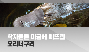 교육과정사진