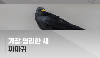 교육과정사진