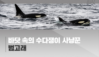 교육과정사진