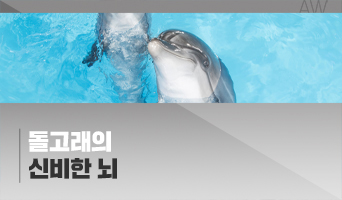 교육과정사진