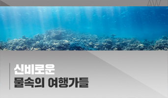 교육과정사진