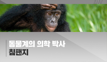 교육과정사진