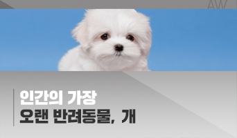 교육과정사진