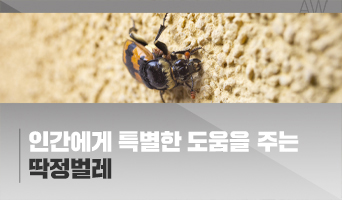 교육과정사진