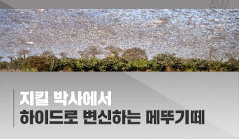 교육과정사진
