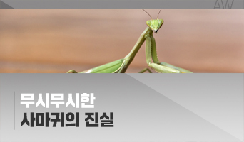 교육과정사진