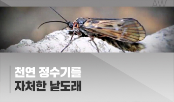 교육과정사진