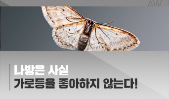 교육과정사진
