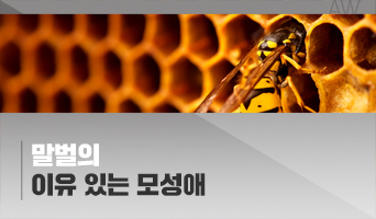 교육과정사진