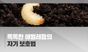 교육과정사진