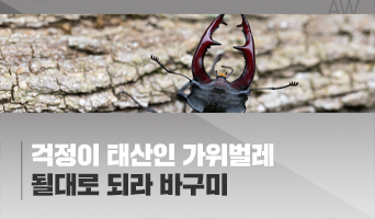 교육과정사진
