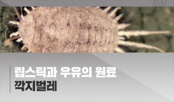 교육과정사진
