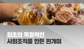 교육과정사진