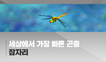 교육과정사진