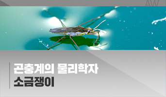 교육과정사진