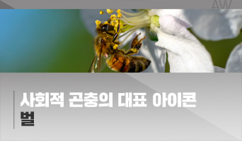 교육과정사진
