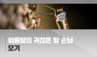 교육과정사진