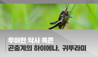 교육과정사진