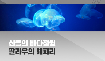 교육과정사진