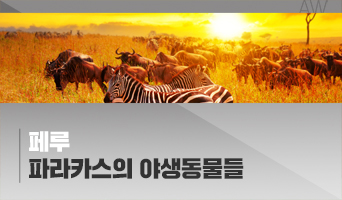 교육과정사진