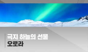 교육과정사진