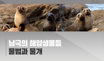 교육과정사진