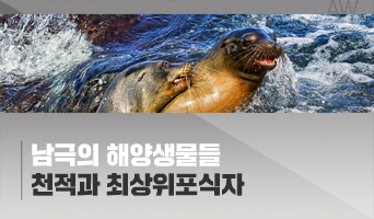 교육과정사진