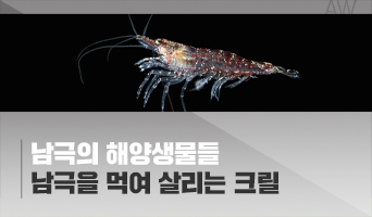 교육과정사진