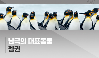 교육과정사진