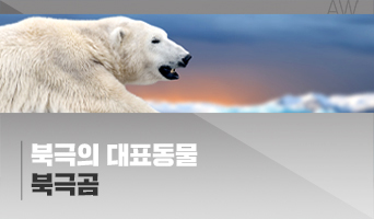 교육과정사진