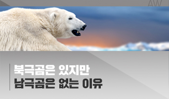 교육과정사진