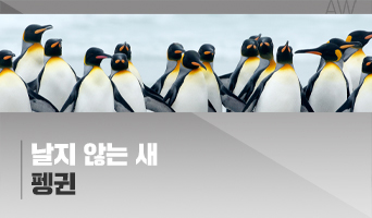 교육과정사진
