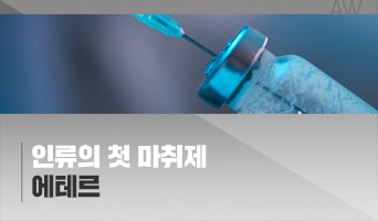 교육과정사진