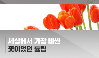 교육과정사진