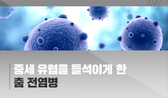 교육과정사진