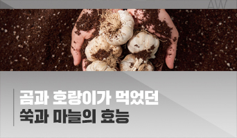 교육과정사진