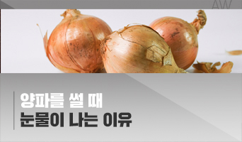 교육과정사진