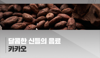 교육과정사진