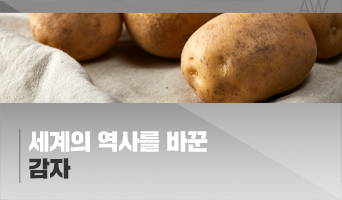교육과정사진