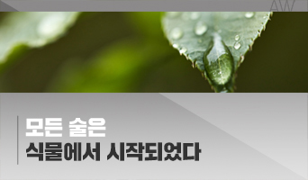 교육과정사진
