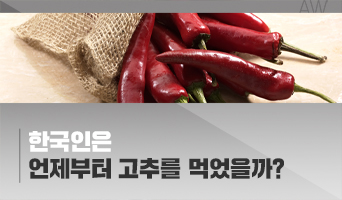 교육과정사진
