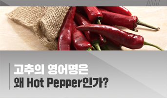 교육과정사진