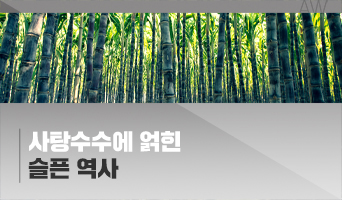 교육과정사진