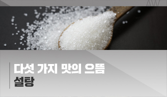 교육과정사진