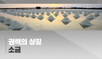 교육과정사진