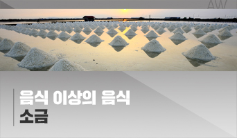 교육과정사진