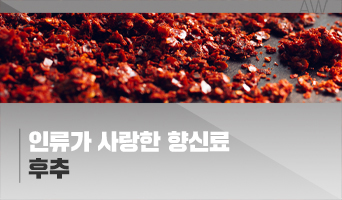교육과정사진