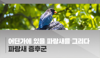교육과정사진