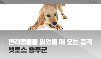 교육과정사진