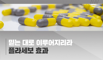 교육과정사진